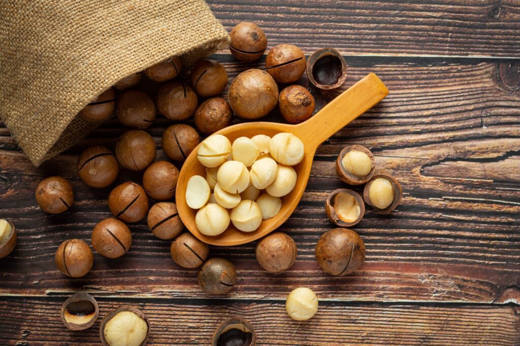 macadamia for weight loss